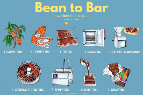 Copy-of-Copy-of-cacao-3 (1).jpg