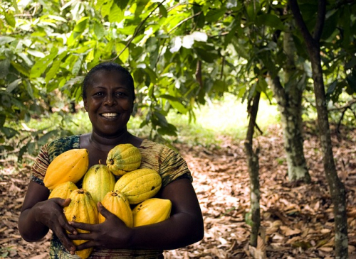 fruit-3247447_640.jpg